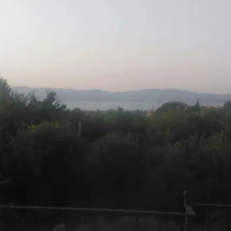 17891 - Atta *